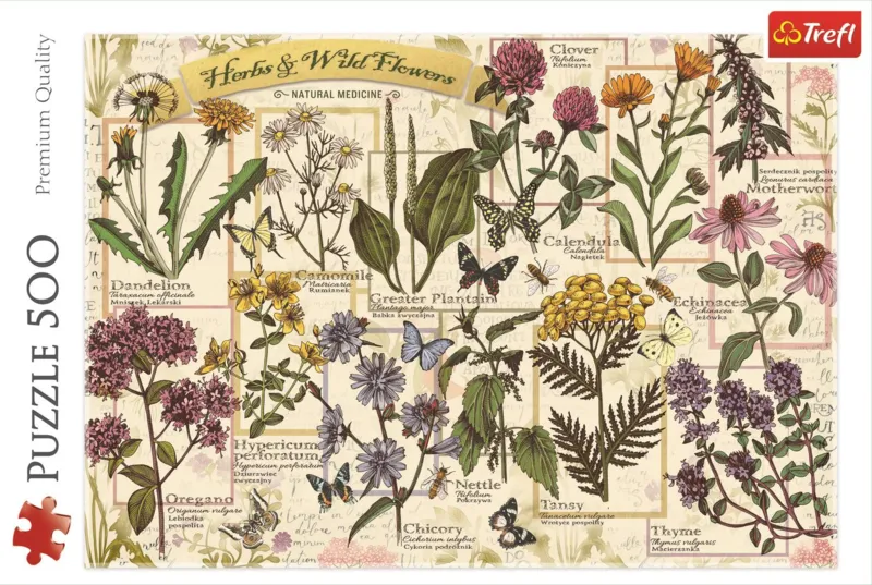Herbarium: Medicinal Herbs