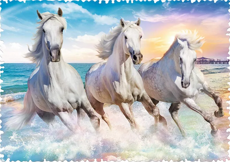 Crazy Shapes -  Galloping among the Waves