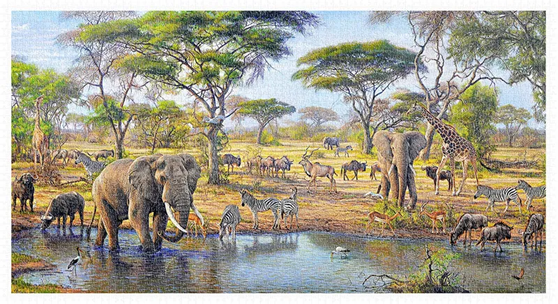 Plastic Puzzle - Gabriel Hermida - Fountain of Life