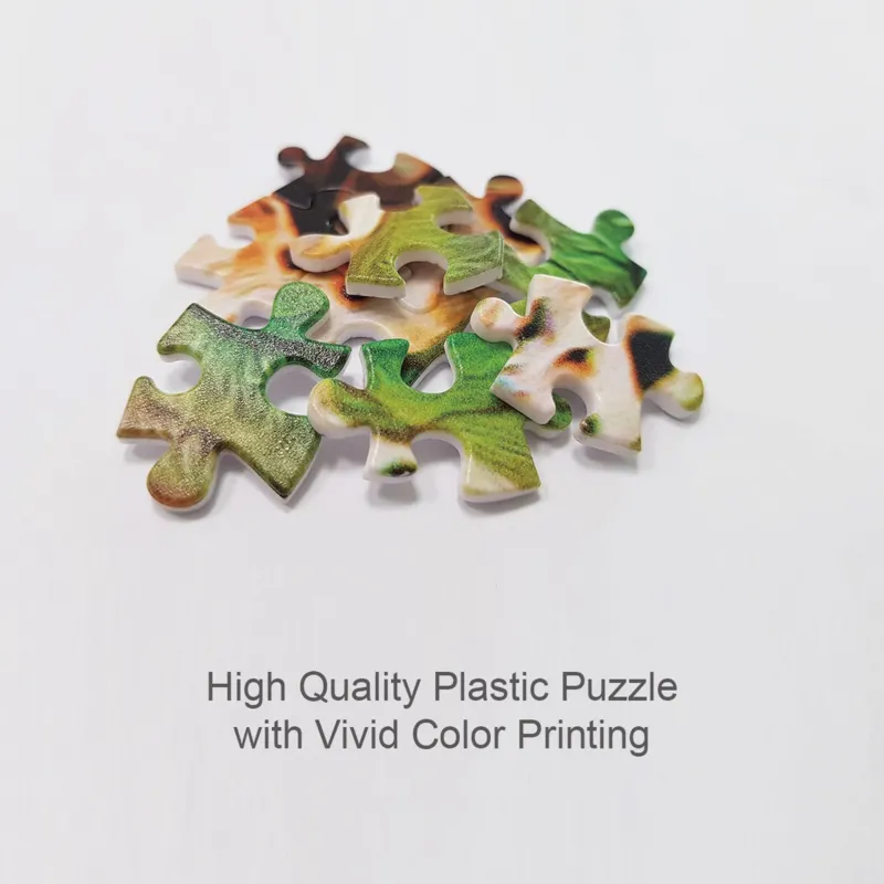 Plastic Puzzle - Gabriel Hermida - Fountain of Life