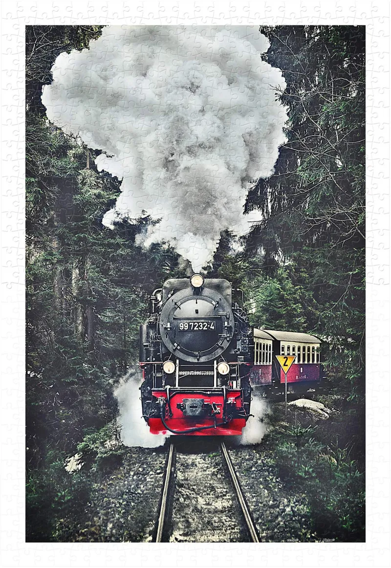 Plastic Puzzle - The Steam Train, Switzerland