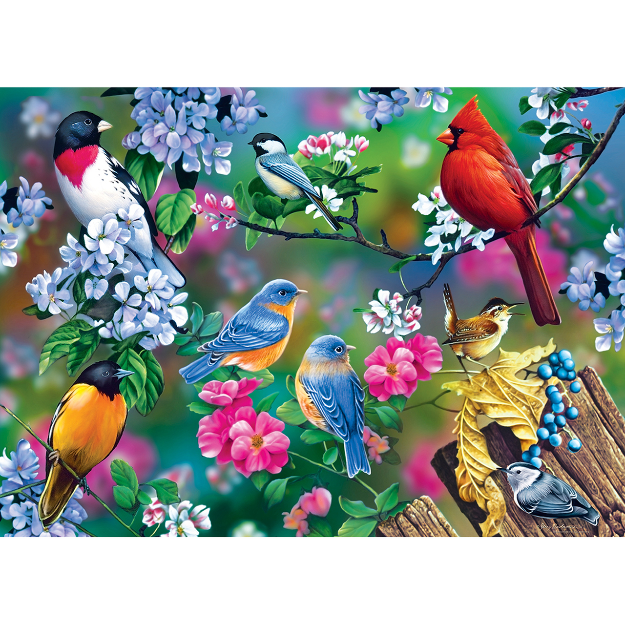 Audubon - Songbird Collage