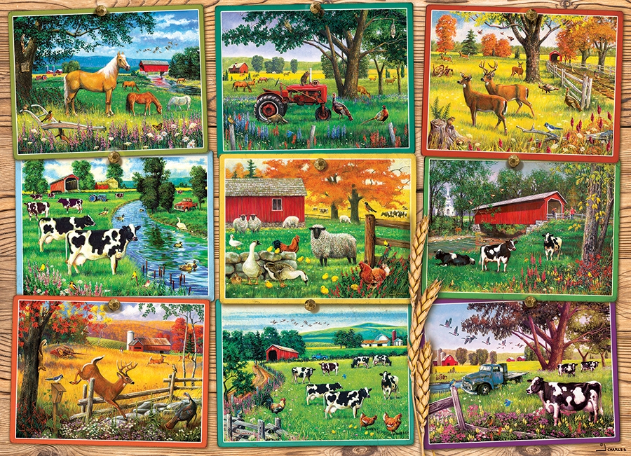 Postcards from the Farm