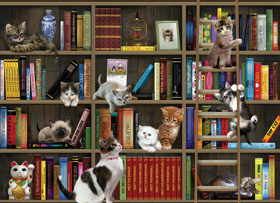 Kitty Librarians