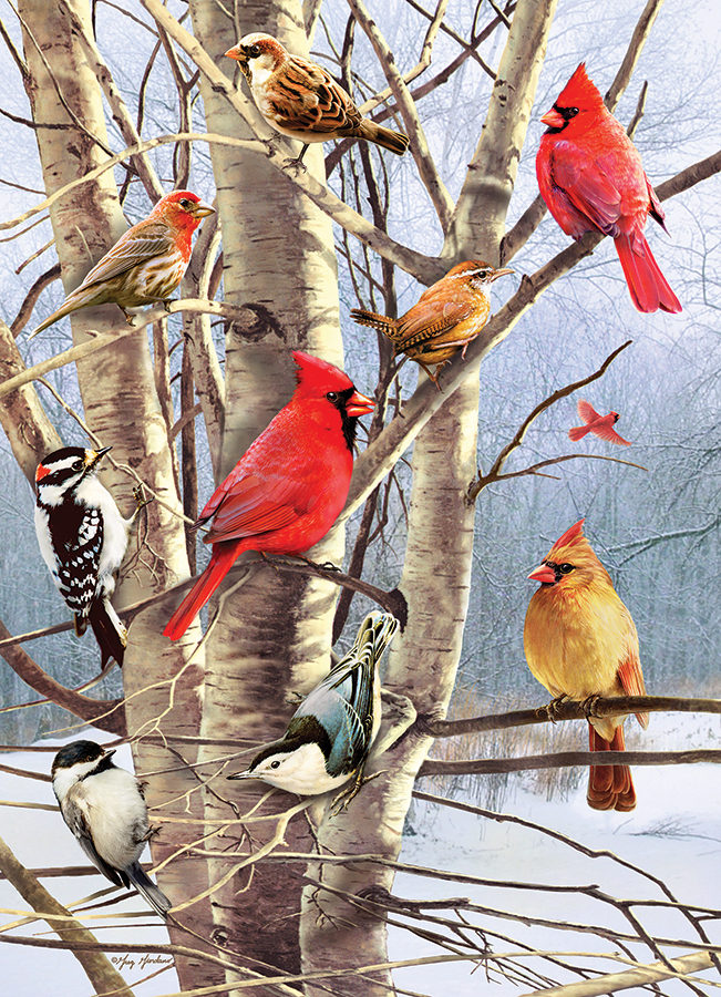 Winter Birds