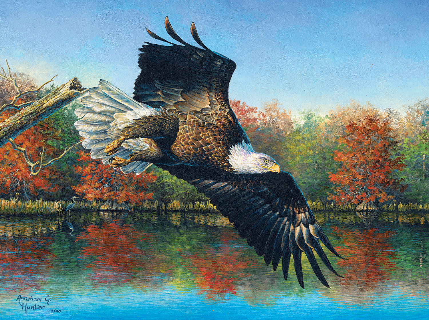 Abraham Hunter - Wetlands Eagle
