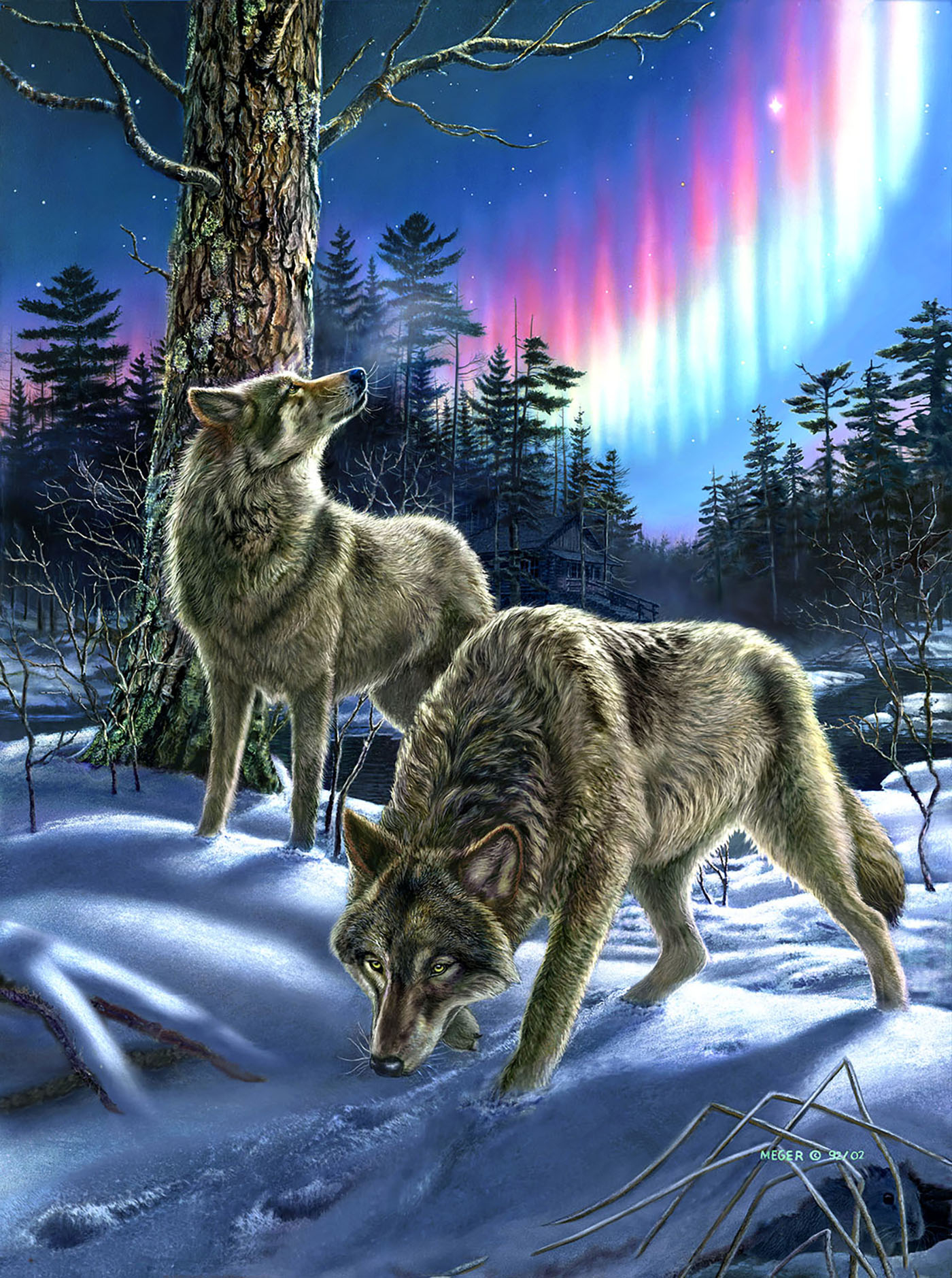 Wolves and Lights
