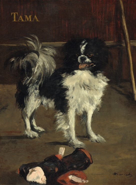 Edouard Manet: Tama: The Japanese Dog, 1875
