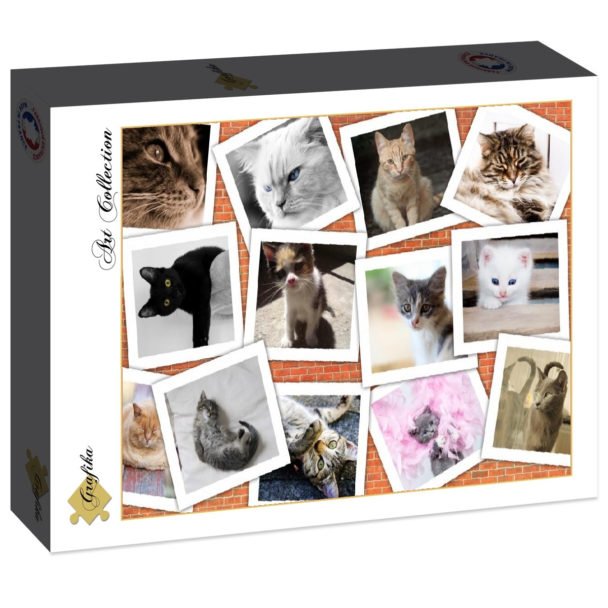 Grafika - Jigsaw puzzle Cats - 2000 pieces - Grafika-F-30621 ...
