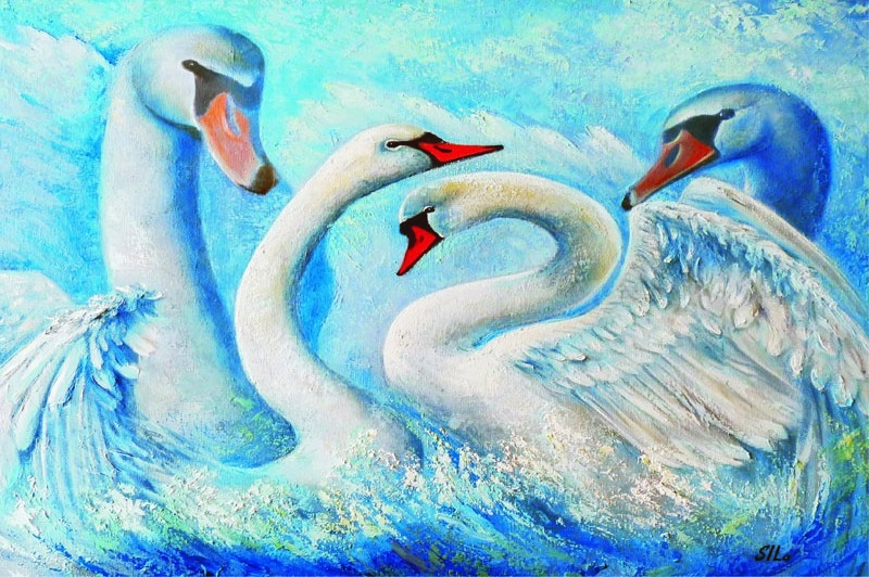 Swans