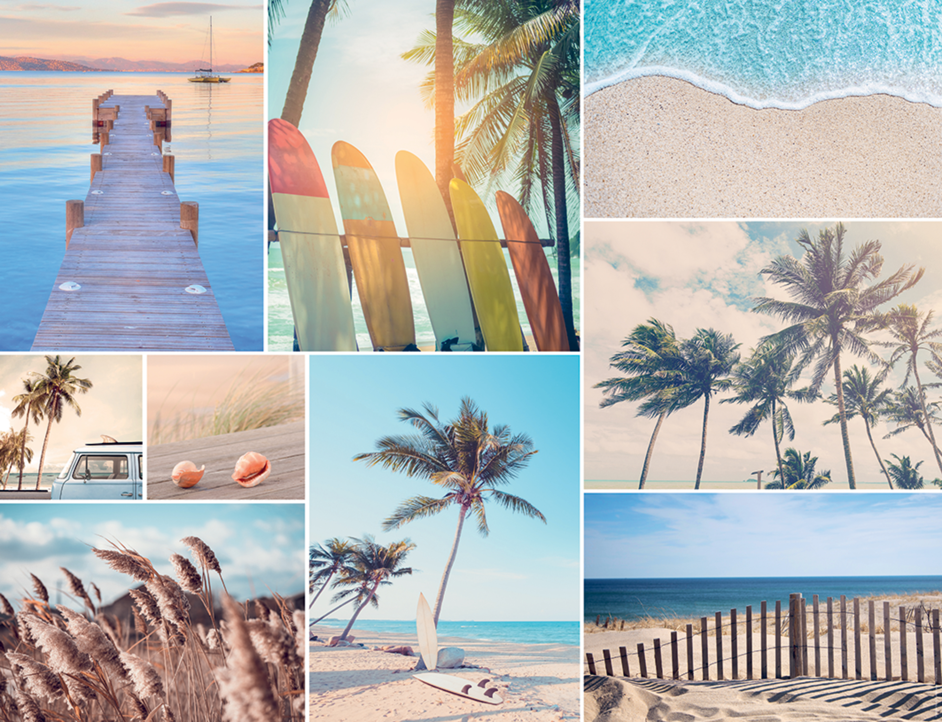 Evasion Collection - Beachfront