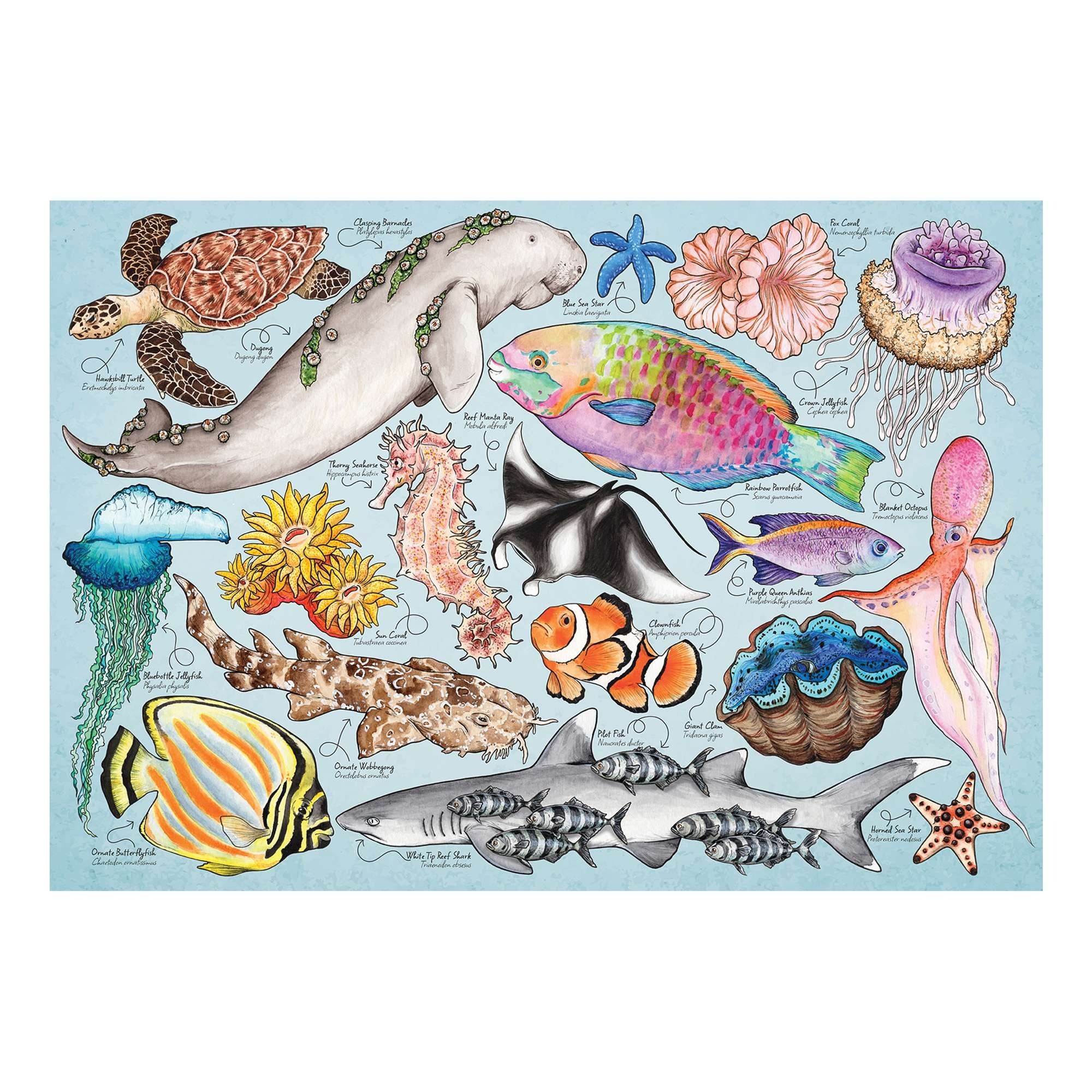Mini Puzzle - Great Barrier Reef