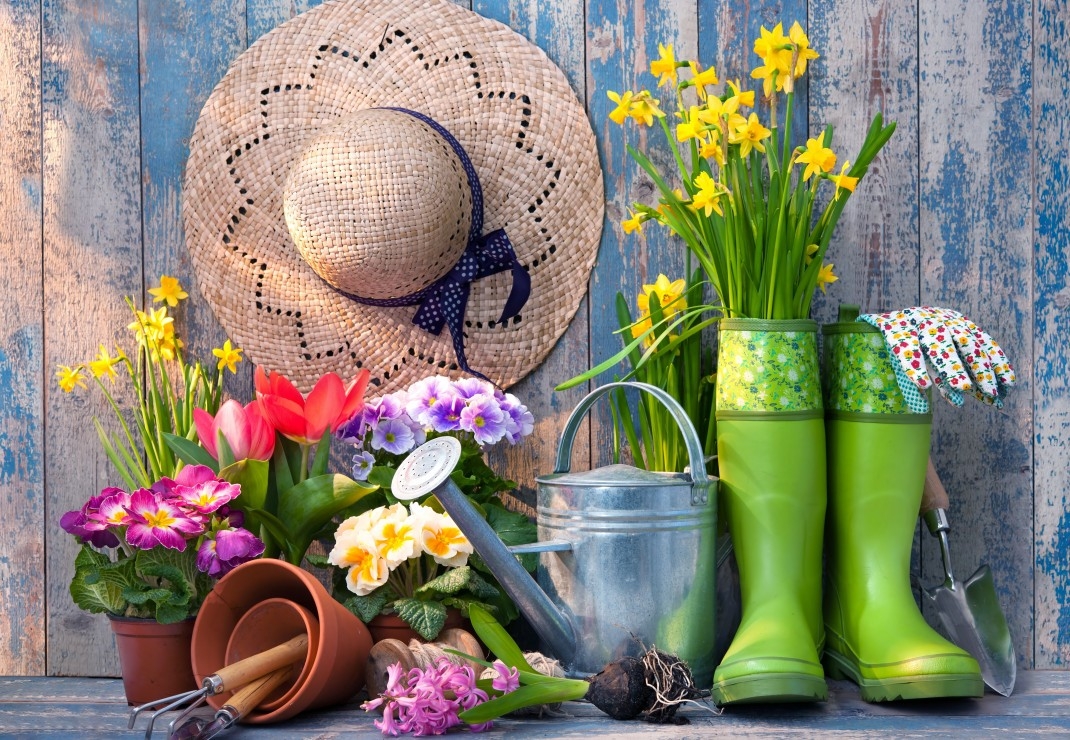 Ready for the Garden