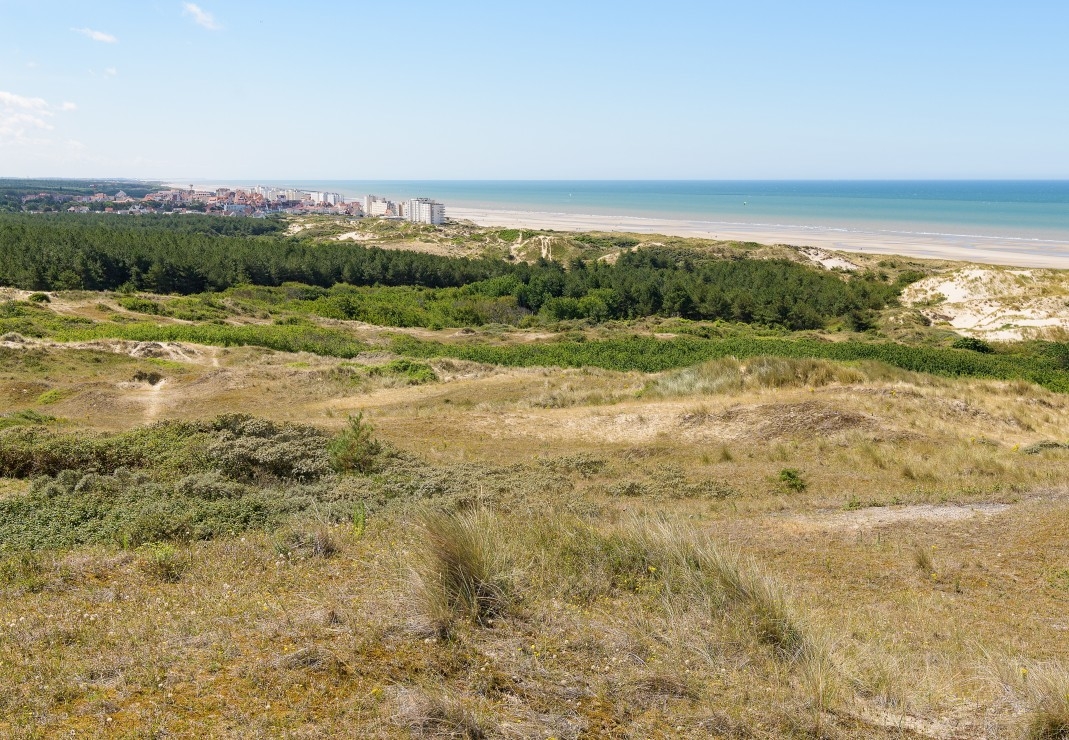 Dunes d'Hardelot, Côte d'Opale, France