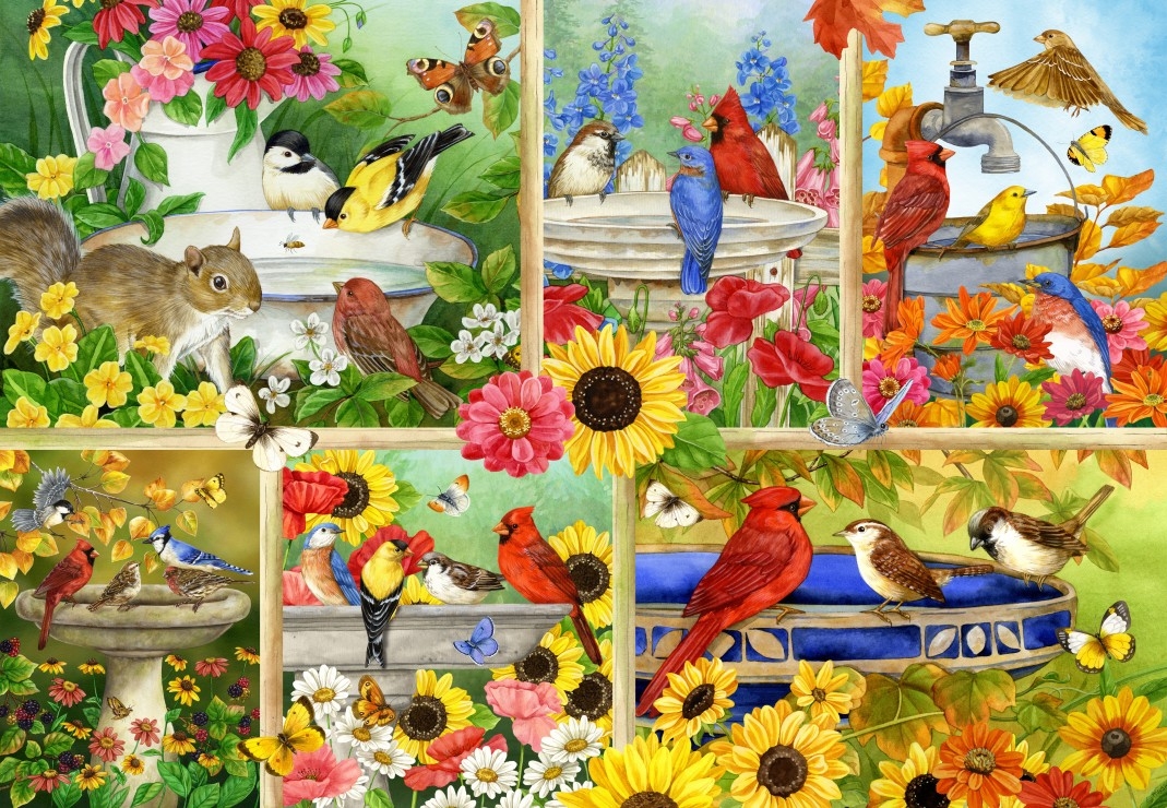 Feathers and Company