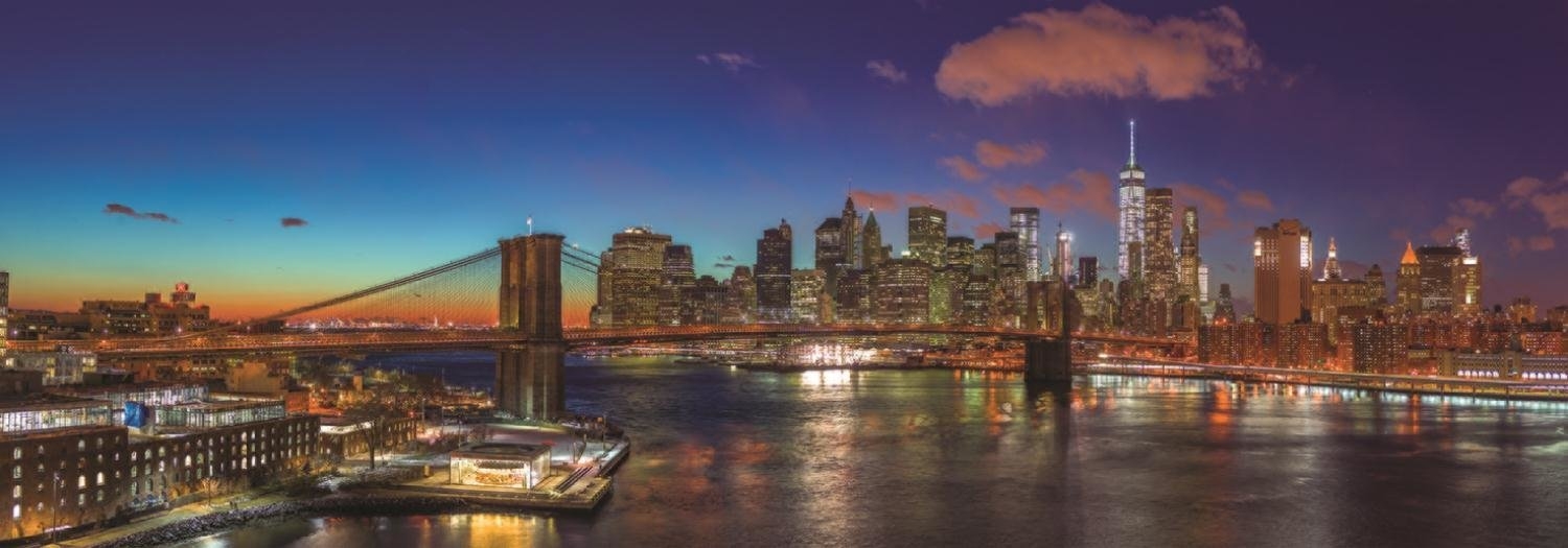 Hudson Bridge New York