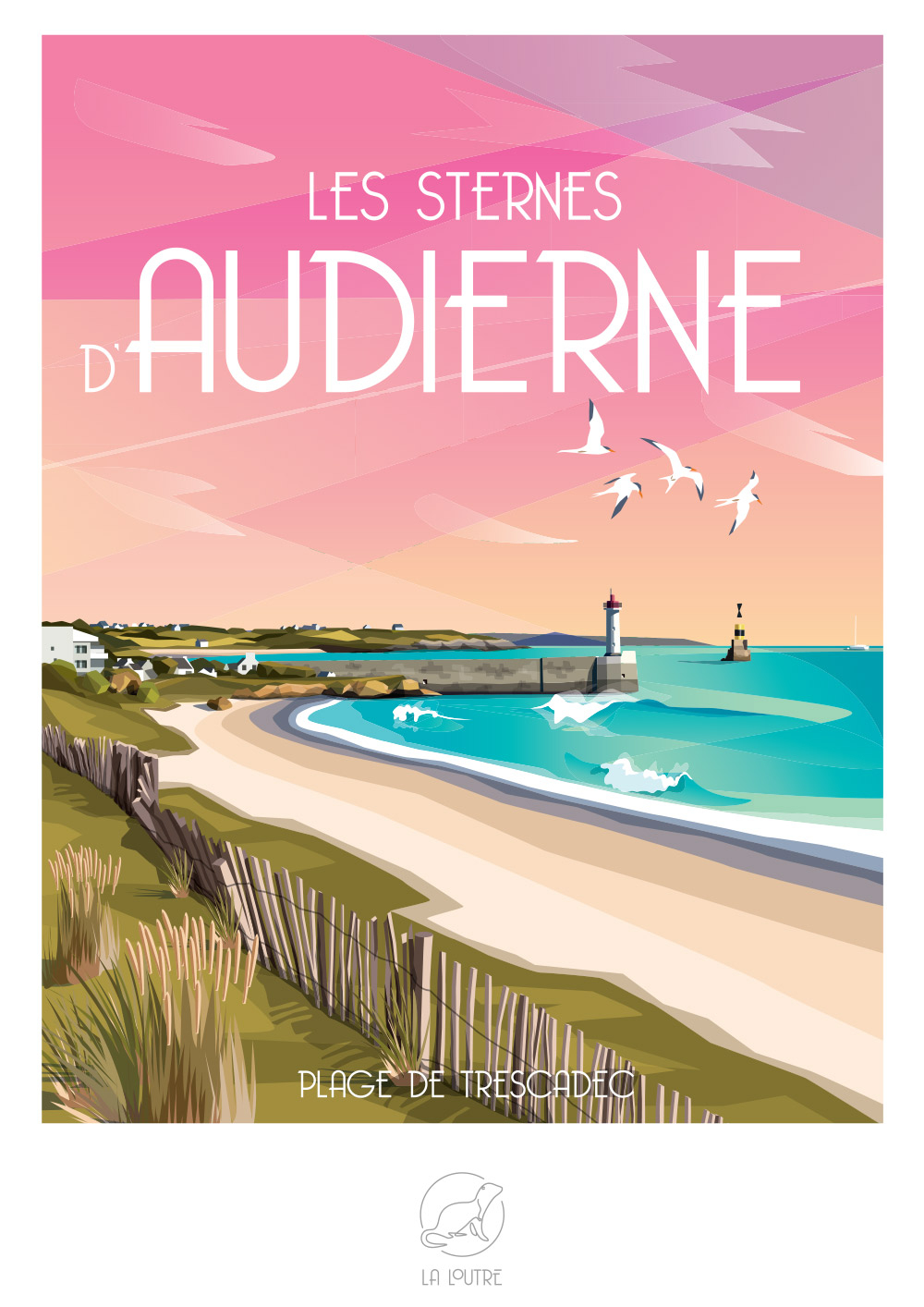 Les sternes d'AUDIERNE Plage de trescadec