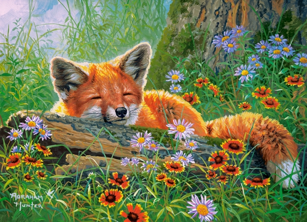 Foxy Dreams