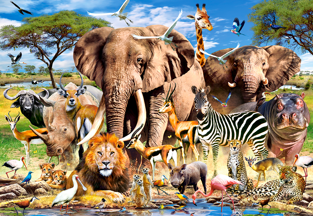 Savanna Animals