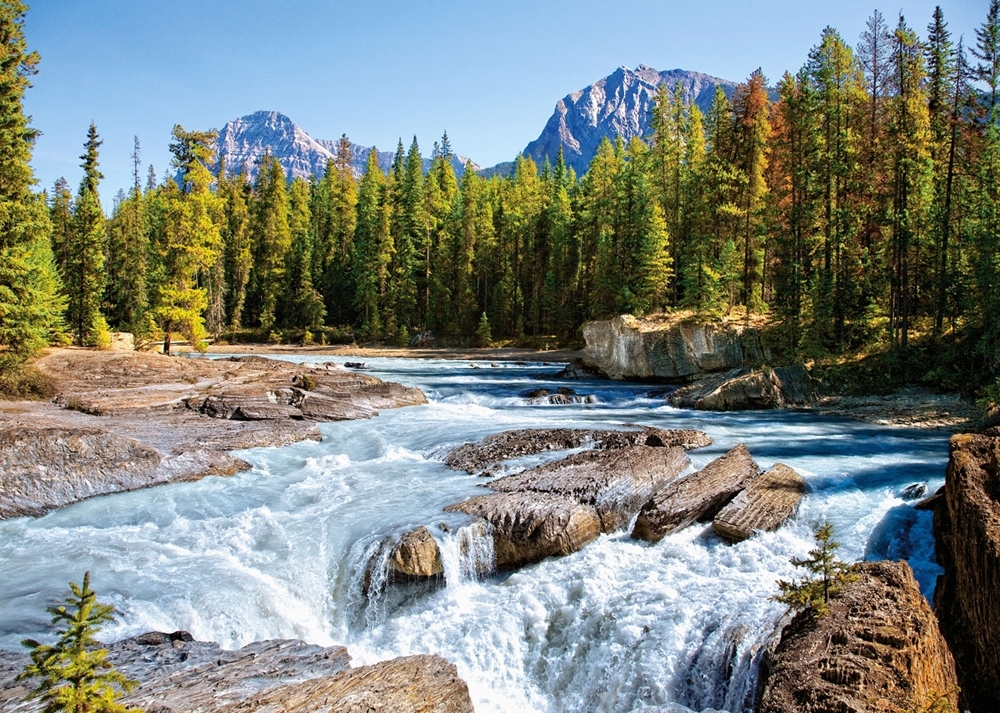Jigsaw Puzzle - 1500 Pieces - Athabasca River, Jasper National Park, Canada