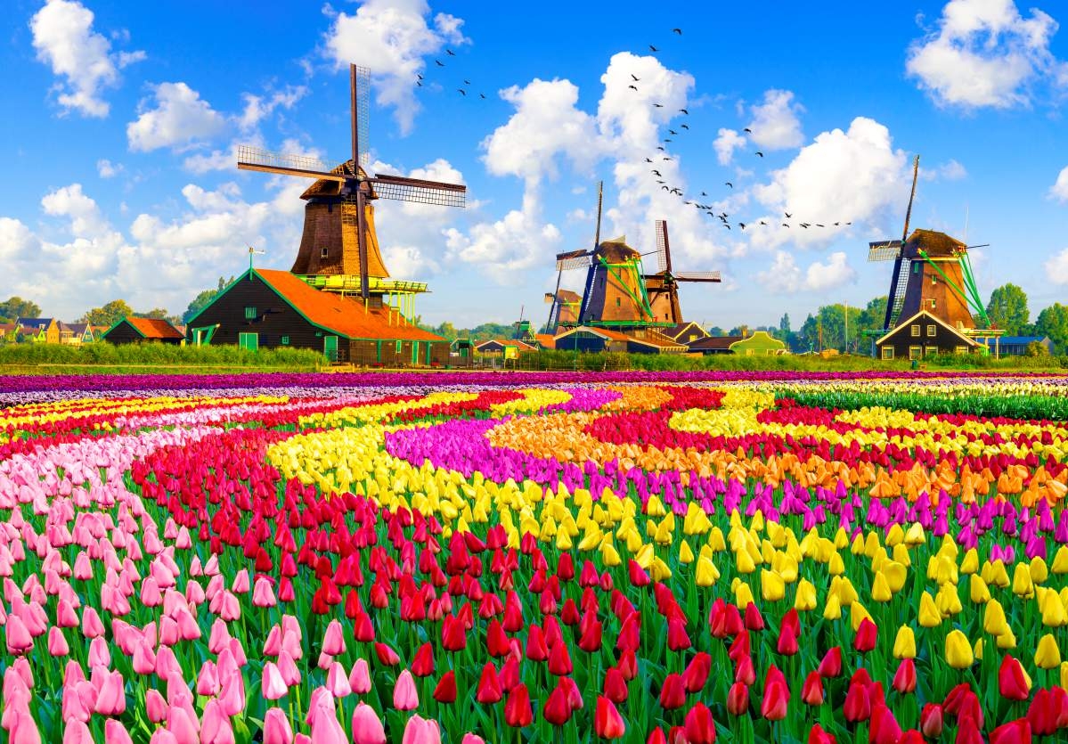 Dutch Windmills, Netherlands