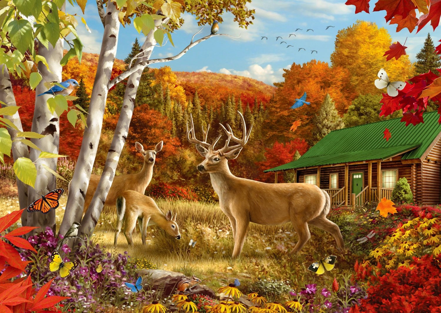 Somewhere in a Field