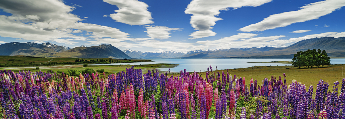 Lake Tekapo