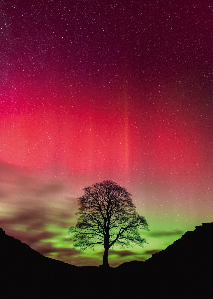 Sycamore Gap