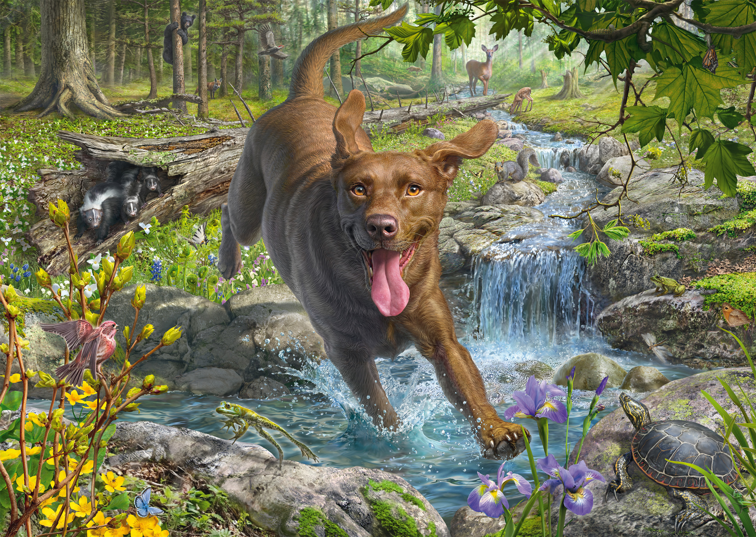 Mark Fredrickson - Retriever in Spring