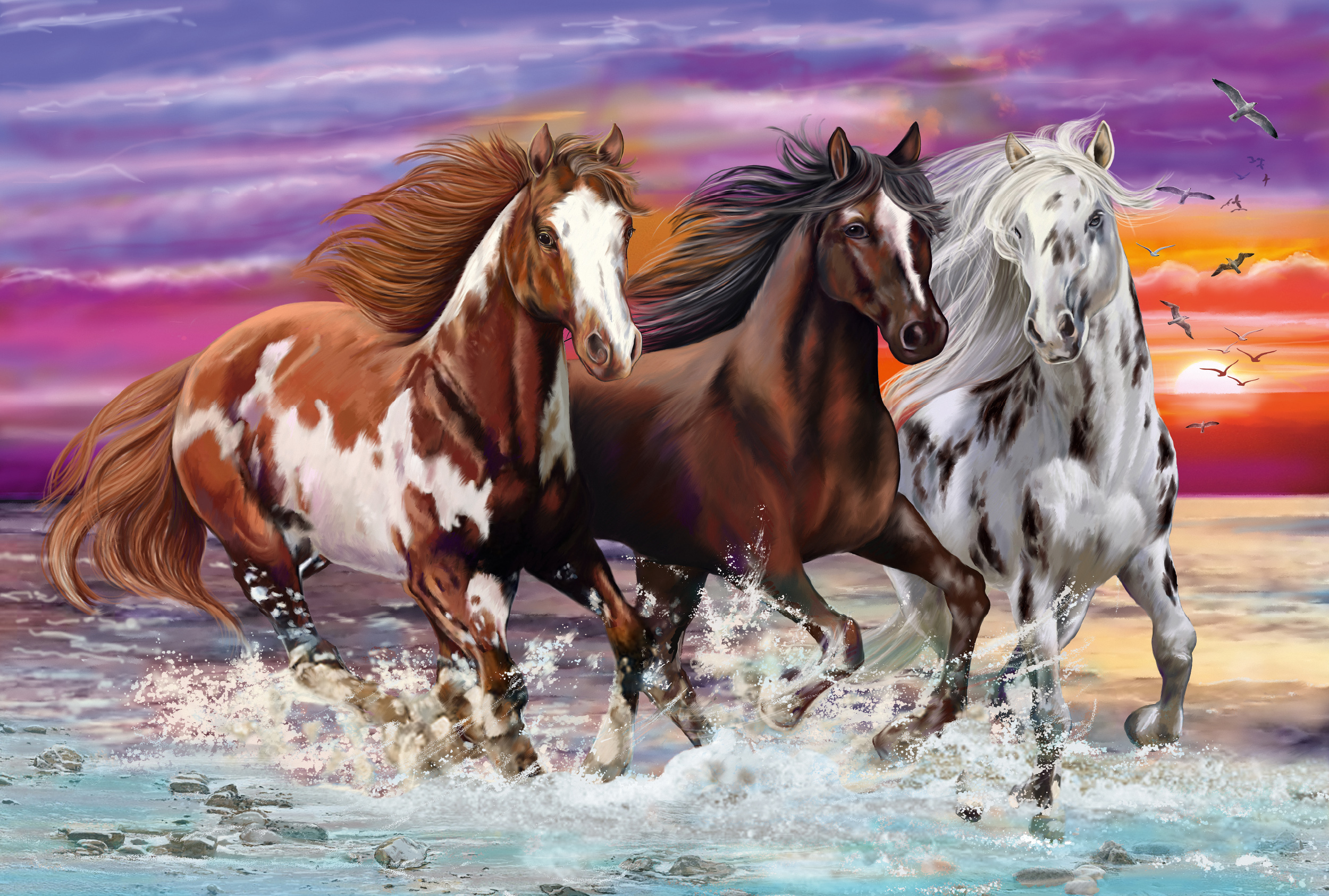 Trio of Wild Horses