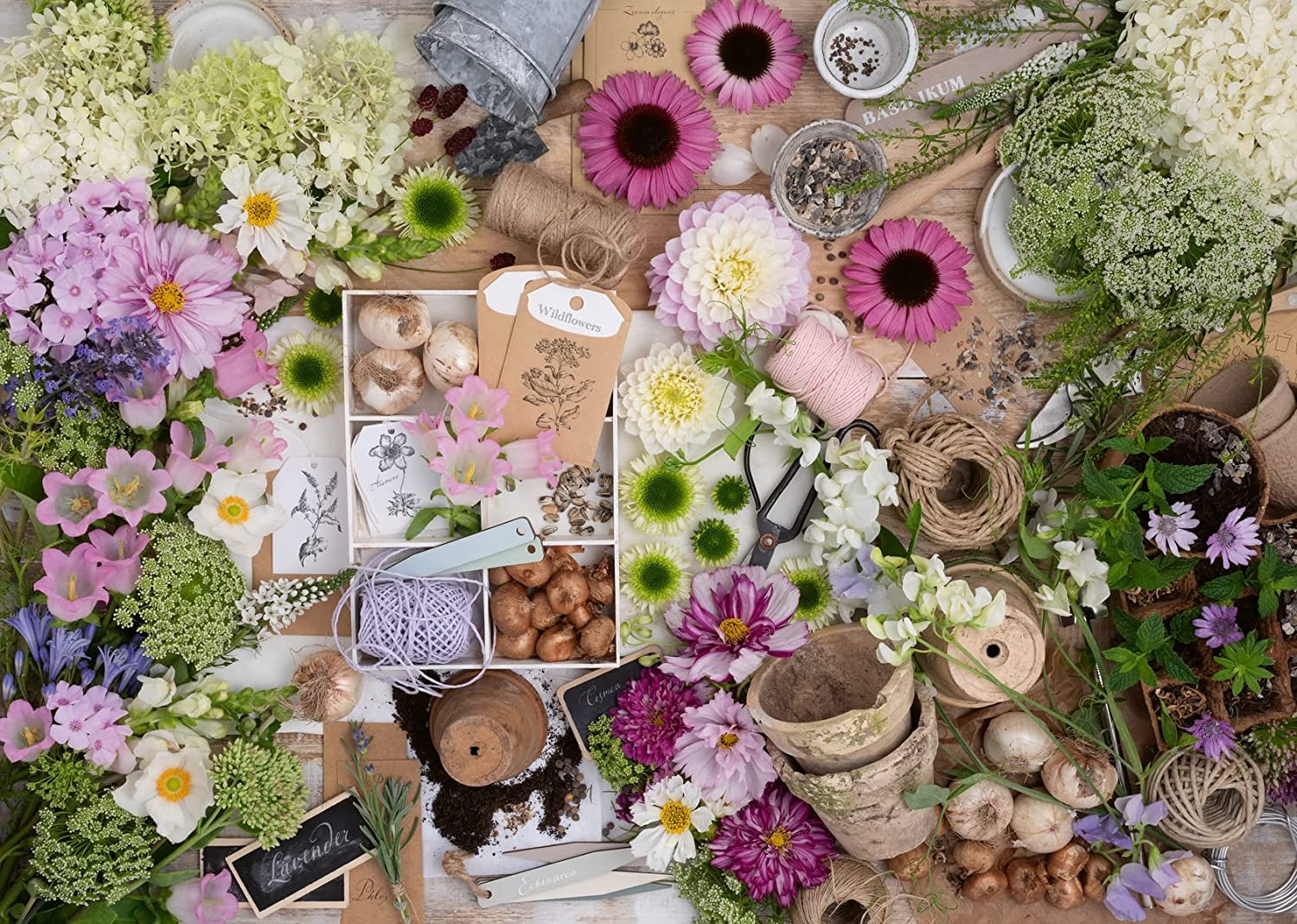 Magnificent Flower Love