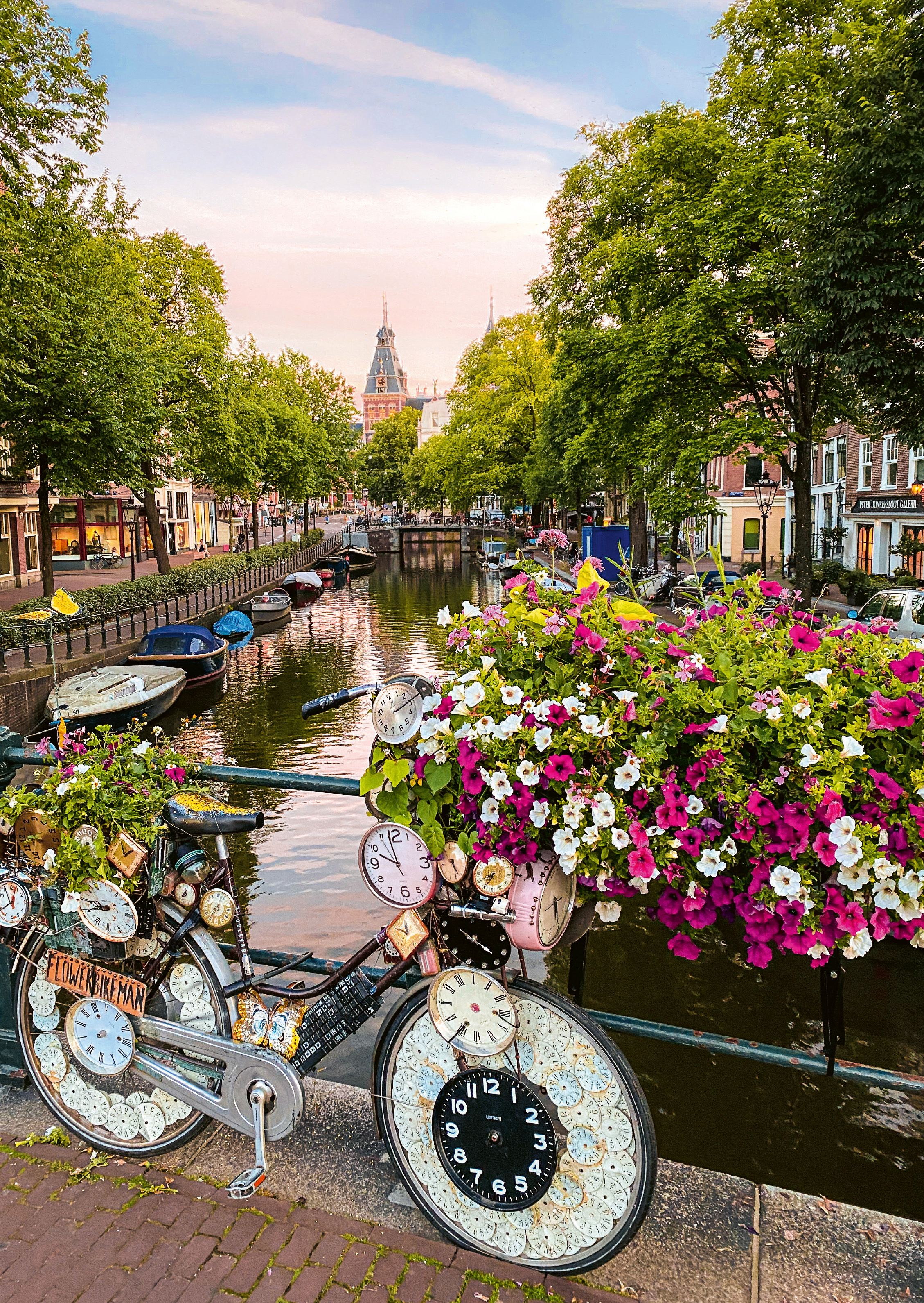 Flowers In Amsterdam