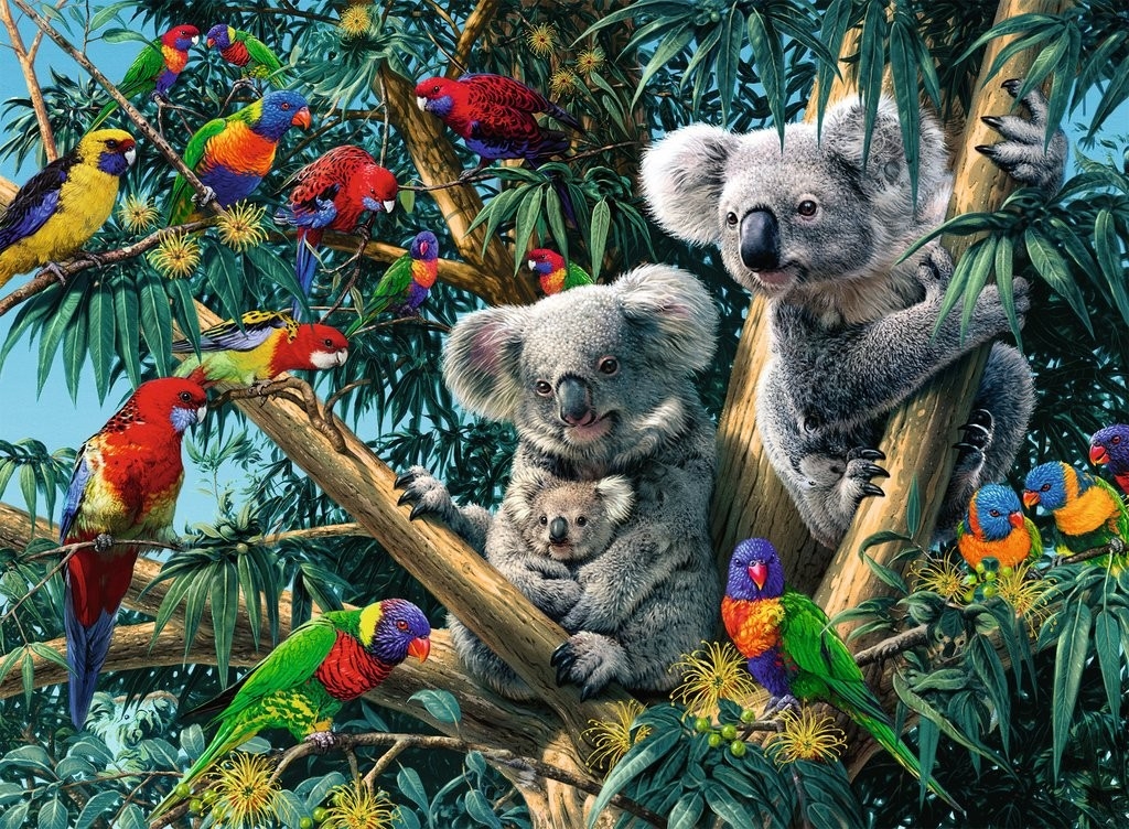 Koalas in The tree