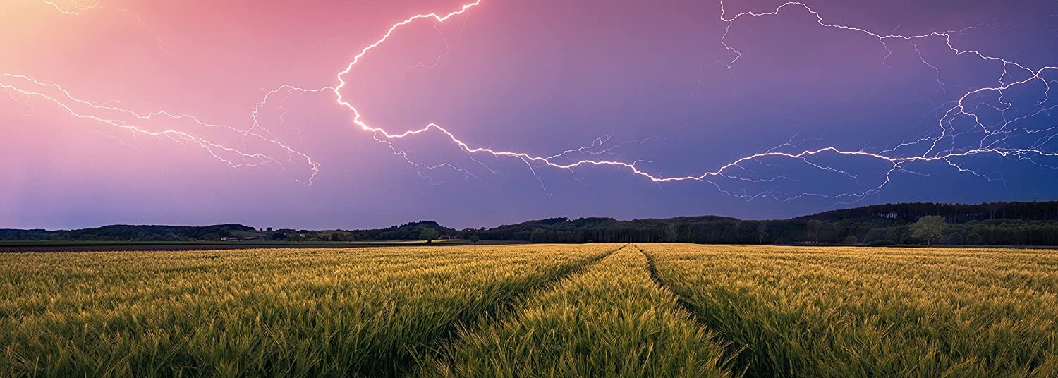 Nature Edition - Summer thunderstorm