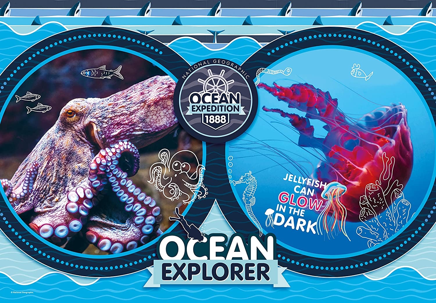 National Geo Kids - Ocean Expedition