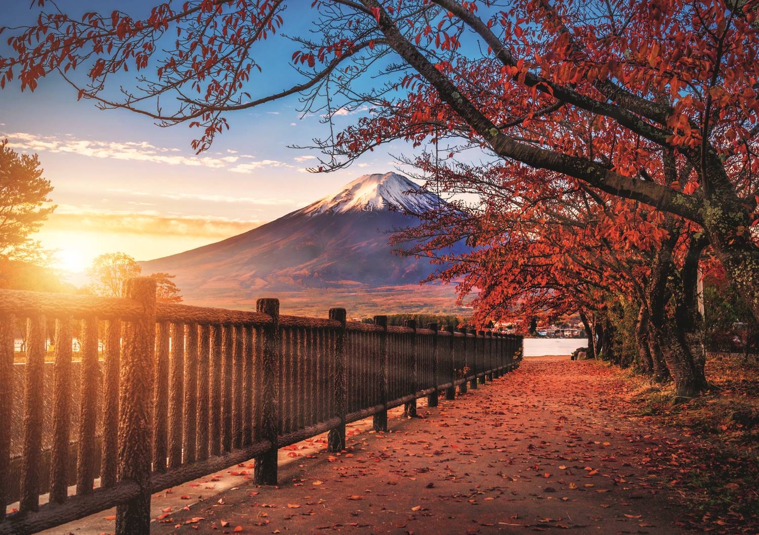 Photo Odyssey: Mount Fuji , Japan