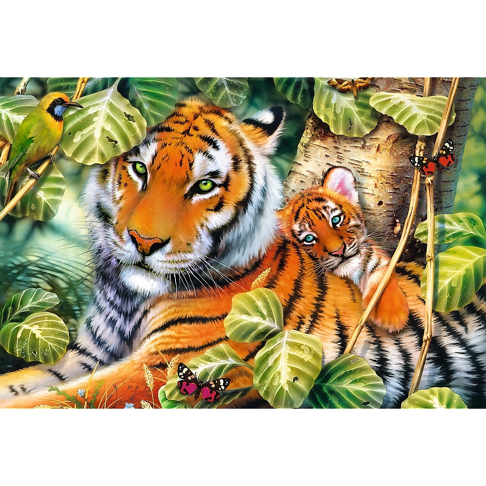 Two Tigers