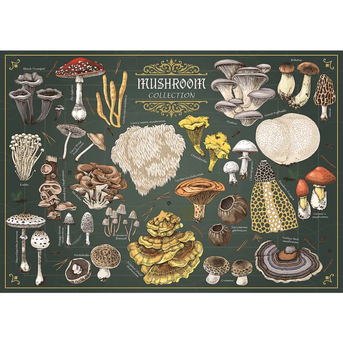 Finders Keepers - Mushroom Collection