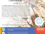 Audubon - Creative Birding