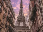 Paris Awakens