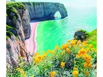 Landscape - The Cliffs Of Etretat - Normandy