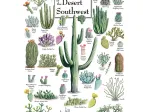 Cacti of the Desert Southwest