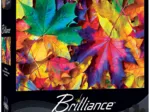 Brilliance - Fall Frenzy