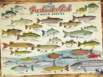 Freshwater Fish of North America