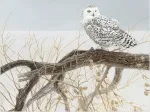 XXL Pieces - Fallen Willow Snowy Owl