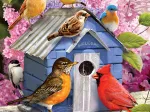 XXL Pieces - Spring Birdhouse