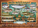 XXL Pieces - World Record Catches