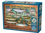 XXL Pieces - World Record Catches