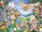 Owls in the Woods