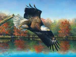 Abraham Hunter - Wetlands Eagle
